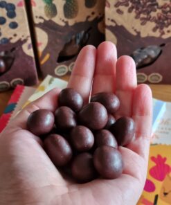 Arándanos bañados en chocolate de cerca