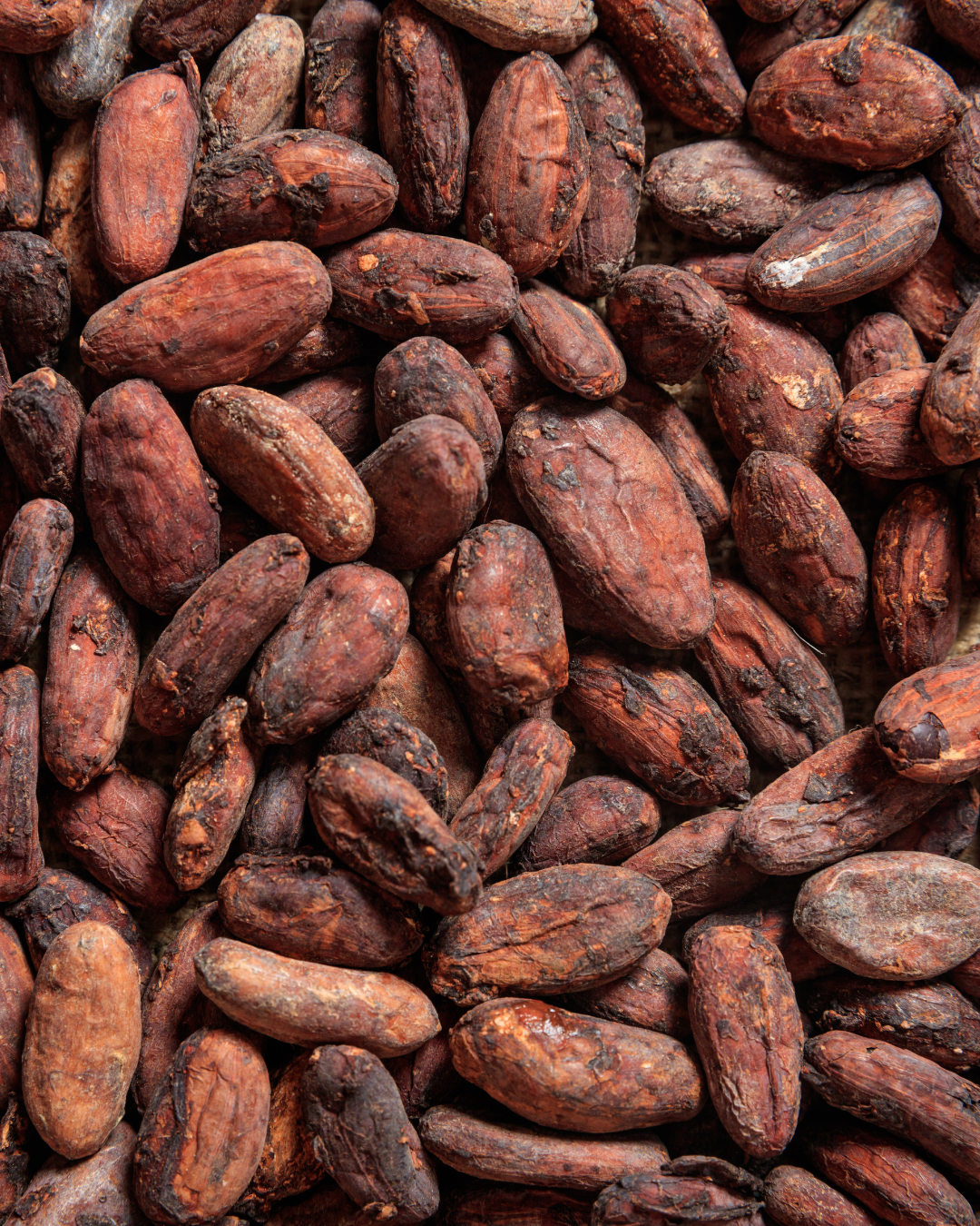 Empaque del pack fit de chocolate sin azúcar